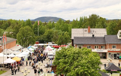 Utsiktsbild Storuman samhälle