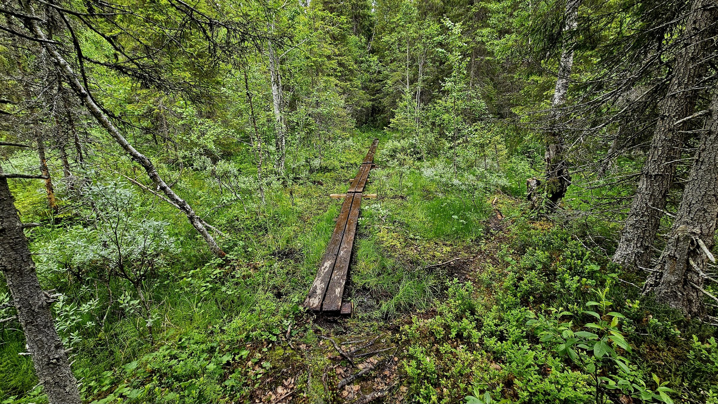 Ryfjallet3.jpg