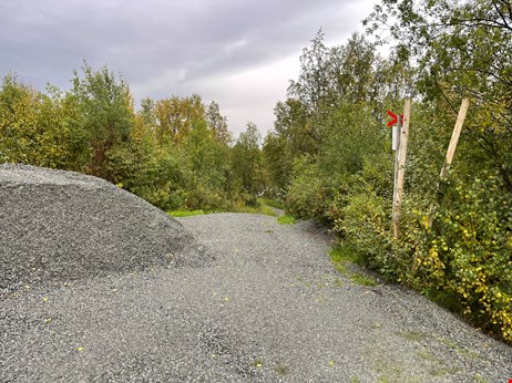 Björkforsledens grusväg