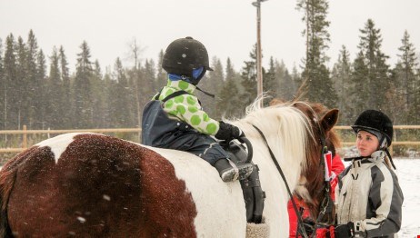 Litet barn rider på en häst