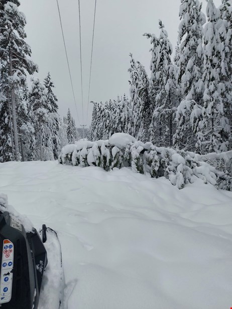 Snöbild med kraftledning
