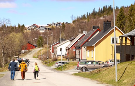 Vandring genom tärnaby